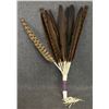 Image 8 : PLAINS PEYOTE FAN AND RATTLES