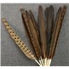Image 9 : PLAINS PEYOTE FAN AND RATTLES