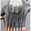 Image 18 : HOPI KACHINA (NEIL DAVID)