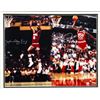 Image 2 : JULIUS IRVING AND MICHAEL JORDAN FRAMED AND DUAL SIGNED 16X20 LIMITED TO 150 - UPPER DECK COA