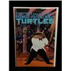 Image 1 : TEENAGE MUTANT NINJA TURTLES #23 - EASTMAN AND LAIRD