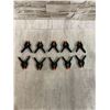 Image 1 : 10 Pack Of 4.5in Spring Clamps