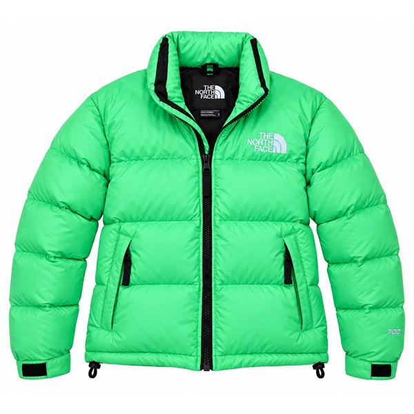 The North Face Men's 700 Down Puffer Jacket – Green