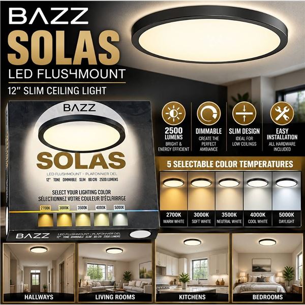 Bazz Solas LED Flushmount Light 12-Inch