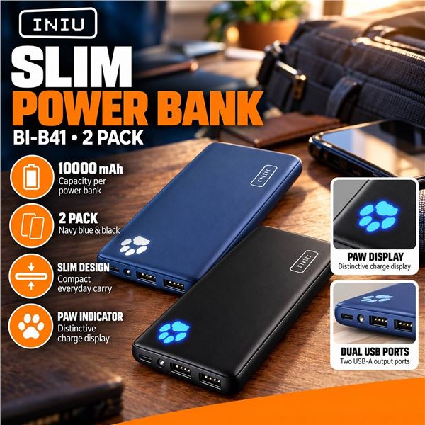 INIU Power Bank BI-B41 10000mAh 2 Pack