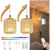 Image 1 : Frideko Plug-In Wall Light Woven Rattan Shade