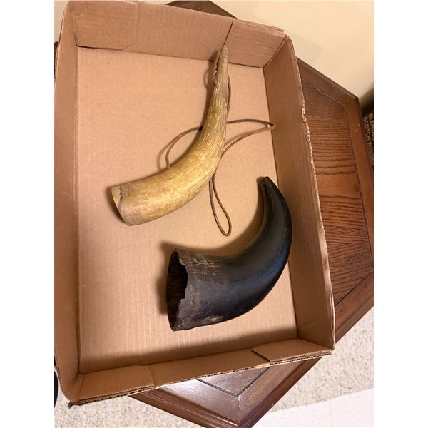 Horns