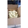 Image 1 : CASE OF VINTAGE CREAM COLORED SMALL CERAMIC VASES