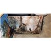Image 3 : 2 CANVAS NATURE SCENES
