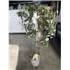Image 1 : 5FT ARTIFICIAL TREE