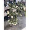 Image 3 : 5FT ARTIFICIAL TREE