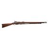Image 1 : Springfield Armory U.S. Model 1873 Trapdoor Rifle