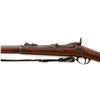 Image 21 : Springfield Armory U.S. Model 1873 Trapdoor Rifle
