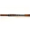Image 18 : Winchester Model 1886 High Grade Lever Action Rifle