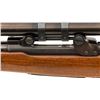 Image 14 : Pre-64 Winchester Model 70 Bolt Action Rifle