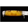 Image 3 : Custom Fixed Blade Knife by Devon (Butch) Beaver