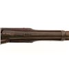 Image 10 : Unmarked Percussion Rifle