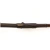 Image 12 : Unmarked Percussion Rifle