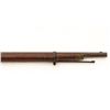 Image 5 : Unmarked Percussion Rifle