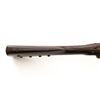 Image 6 : Unmarked Percussion Rifle