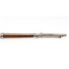 Image 4 : Modified Italian State Flintlock Musket