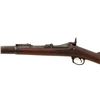 Image 20 : Springfield Armory U.S. Model 1888 Rod Bayonet Trapdoor Rifle