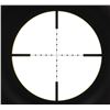 Image 7 : Trijicon AccuPoint Rifle Scope