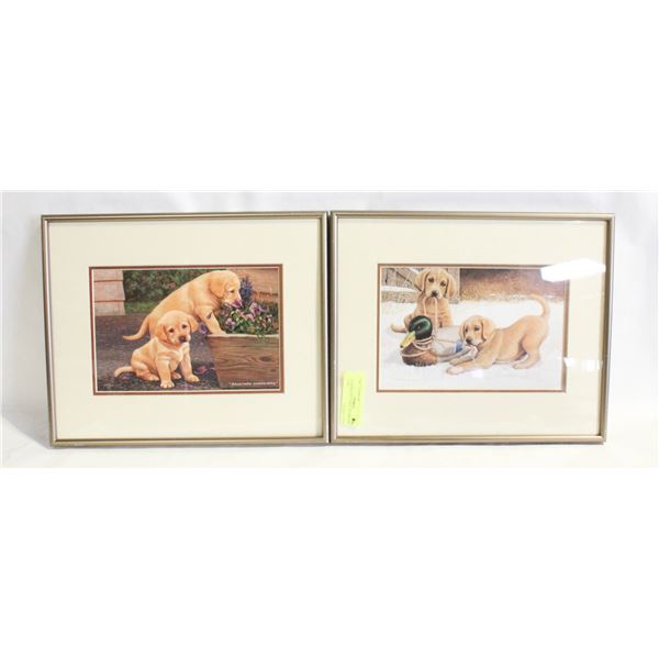 2 LAB DOG PICTURES, SIGNED JIM LAMB