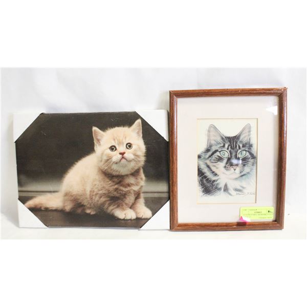 2 CAT PICTURES, ARTWORK, 9" X 11" & 9" X 12"