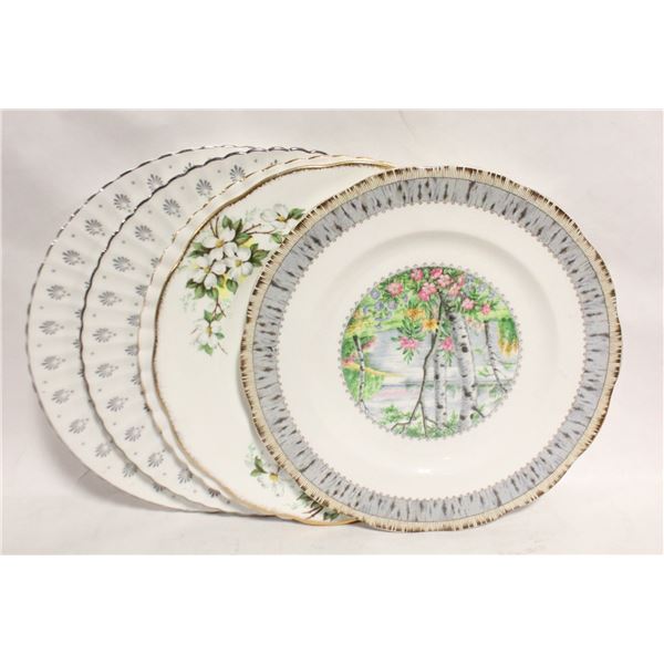 5 BONE CHINA DINNER PLATES 10.5",