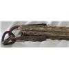 Image 3 : Primitive Single Tree