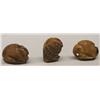 Image 2 : Three Zuni Tagua Nut Fetishes by artist Alvert Lamy