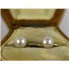 Image 1 : 1 Pr 10Kt Gold & Pearl Screw Back Earrings