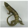 Image 2 : Genuine Mounted Iguana Lizard