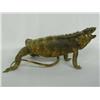 Image 3 : Genuine Mounted Iguana Lizard