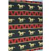 Image 1 : Southwest Blanket
