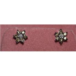 1.00 Carat Total Wgt. Champaign Diamond Earrings