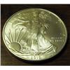 Image 1 : Silver Eagle - Uncirculated-