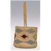 Image 1 : Rare Nez Perce Sally Bag, C. 1920s