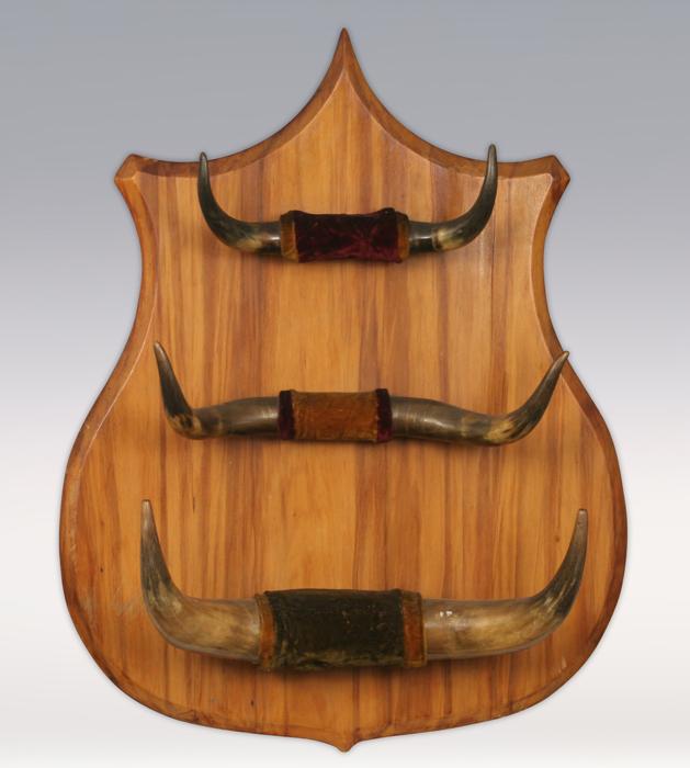 Cow Horn Hat Rack, 36" x 28", 19th century