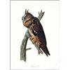 Image 1 : Audubon ''Owl'' 1972
