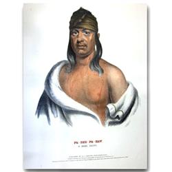 McKenney & Hall ''Sauk Chief''