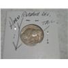 Image 2 : 1914-P BUFFALO NICKEL