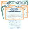 Image 1 : Group Of Five General Motors Stock Certificates Issued To And Signed On A Proxy Document By Portrait