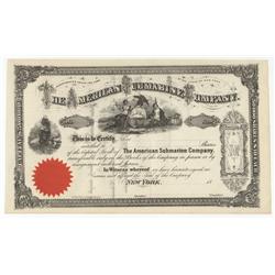 The American Submarine Company