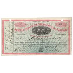 Buckeye Mining & Tunneling Co. Of Colorado