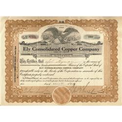 Ely Consolidated Copper Company