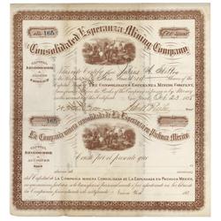 Consolidated Esperanza Mining Company