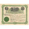 Image 1 : Black Hills Copper Company
