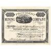 Image 1 : Provident Mining Company